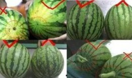 盖盖吃瓜,揭秘娱乐圈背后的那些事儿