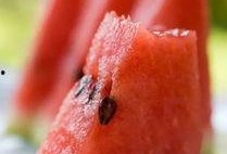 吃瓜大便多,揭秘大便增多背后的秘密