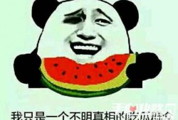 瓜梗怎么吃,探索创意瓜梗食用新方法