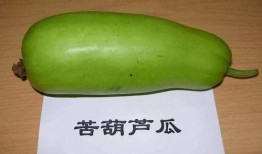 葫芦瓜穰怎么吃