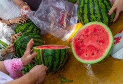 广东湛江吃瓜视频,一场视觉与味蕾的双重盛宴