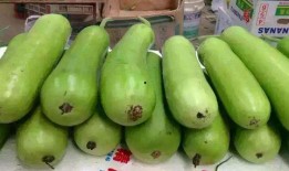 瓠瓜怎么吃,解锁健康美味新选择