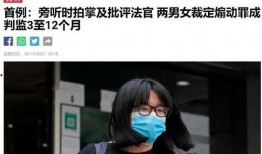 法院旁听吃瓜