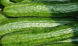 健身完吃瓜,吃瓜时光的完美搭配