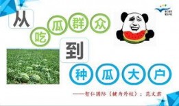 教育在线吃瓜网,揭秘教育行业热点事件背后的真相