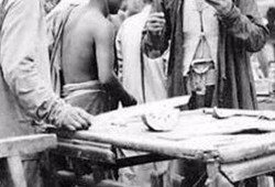 朝阳吃瓜大妈,揭秘社区生活百态