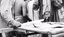 朝阳吃瓜大妈,揭秘社区生活百态