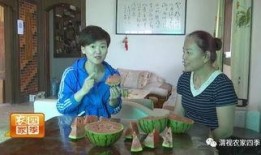 老张卖瓜吃,瓜农自食其力，传承农耕文化