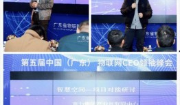 越秀陈磊吃瓜,揭秘背后真相与网络舆论风暴