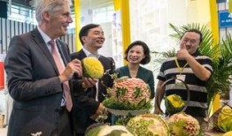 吃大世界瓜,品味生活无限可能