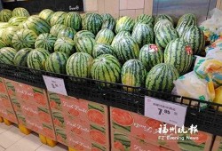 福州近期吃瓜,近期热门事件大盘点