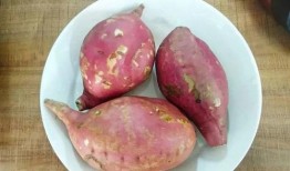 地瓜吃瓜视频,揭秘地瓜界的趣味生活