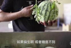白银吃瓜,揭秘吃瓜群众的狂欢盛宴