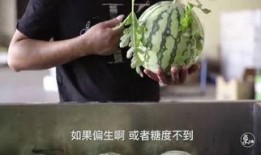 白银吃瓜,揭秘吃瓜群众的狂欢盛宴