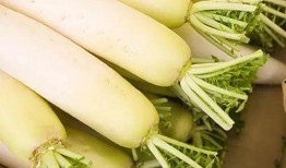 以语文角度吃瓜,语文视角下的吃瓜文化解读