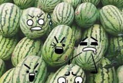 吃瓜研究,校园里的“瓜田”奇观