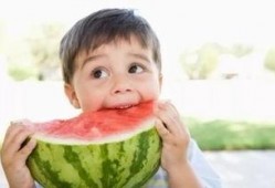 小杨同学吃瓜路人