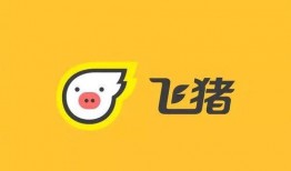 吃瓜用什么wpp,揭秘如何用WPP轻松吃瓜