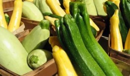 禄劝吃瓜,一场吃瓜盛宴，揭秘当地特色美食文化