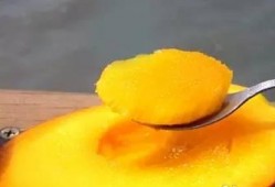 芒果吃瓜社跳舞,舞动青春，共赴欢乐盛宴