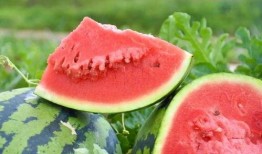 吃瓜广东海洋,探寻广东海洋美食文化之旅