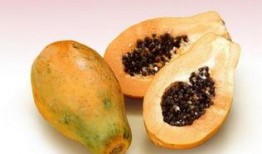 手术可以吃瓜吗,饮食禁忌与合理饮食指南