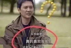 吃瓜恶搞前线,揭秘娱乐圈幕后趣闻