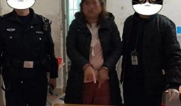 警察吃瓜案件,揭秘警界内部惊人真相