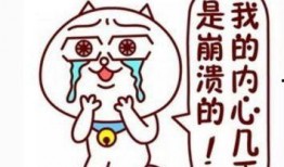 吃瓜小王同学,吃瓜小王同学的校园趣事大盘点