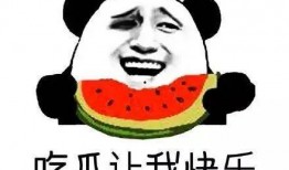 要吃啥吃瓜群众,揭秘“要吃啥”背后的美食奥秘