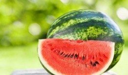 东大门韩代吃瓜,揭秘网红美食背后的“吃瓜”故事