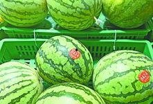 武汉市吃瓜