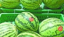武汉市吃瓜