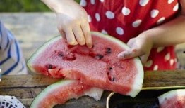 坐在瓜地上吃西瓜,夏日里的悠闲西瓜时光