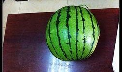 吃瓜居士,揭秘娱乐圈幕后真相，带你领略明星生活的另一面