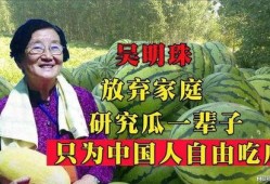 《嘲笑吃瓜》在线观看