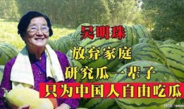 《嘲笑吃瓜》在线观看