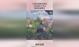 云南缅甸大妈吃瓜,跨国友谊在甜蜜中绽放